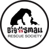 Big and Small Rescue Society